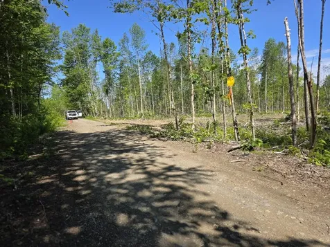 Lot 27 Williams Road Amity ME 04471