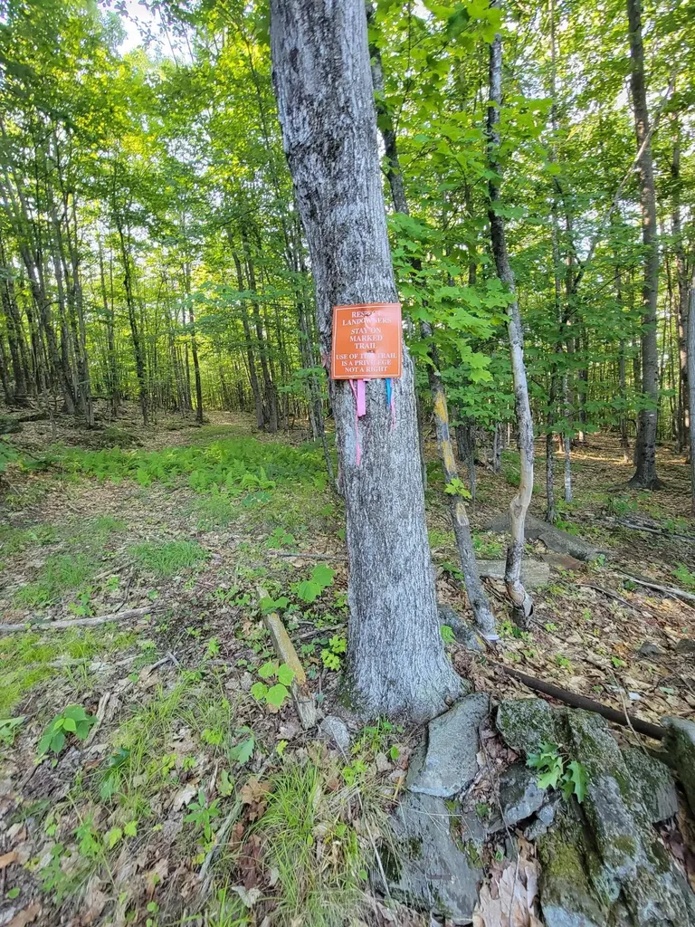 473 Davenport Hill Road Jay ME 04239