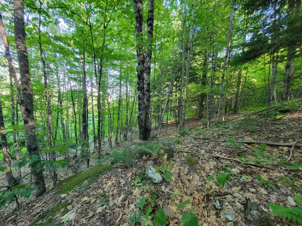 473 Davenport Hill Road Jay ME 04239