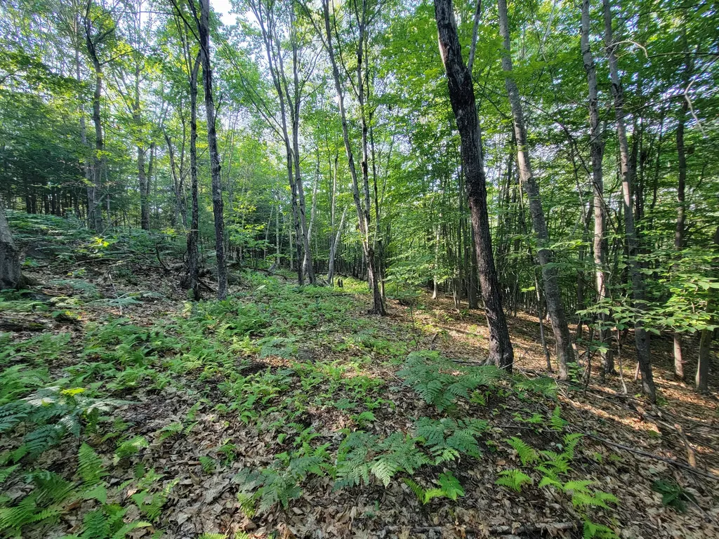 473 Davenport Hill Road Jay ME 04239