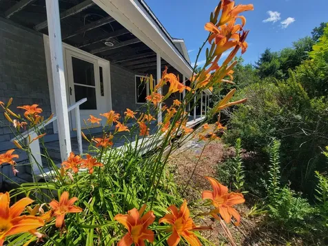 473 Davenport Hill Road Jay ME 04239