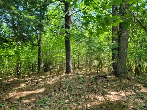 473 Davenport Hill Road Jay ME 04239
