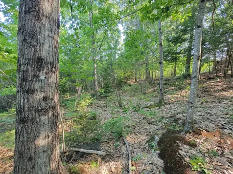 473 Davenport Hill Road Jay ME 04239