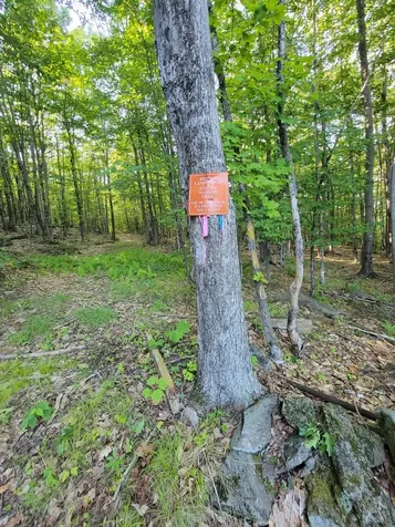 473 Davenport Hill Road Jay ME 04239