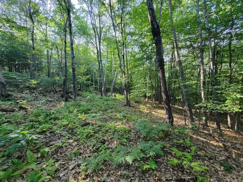 473 Davenport Hill Road Jay ME 04239
