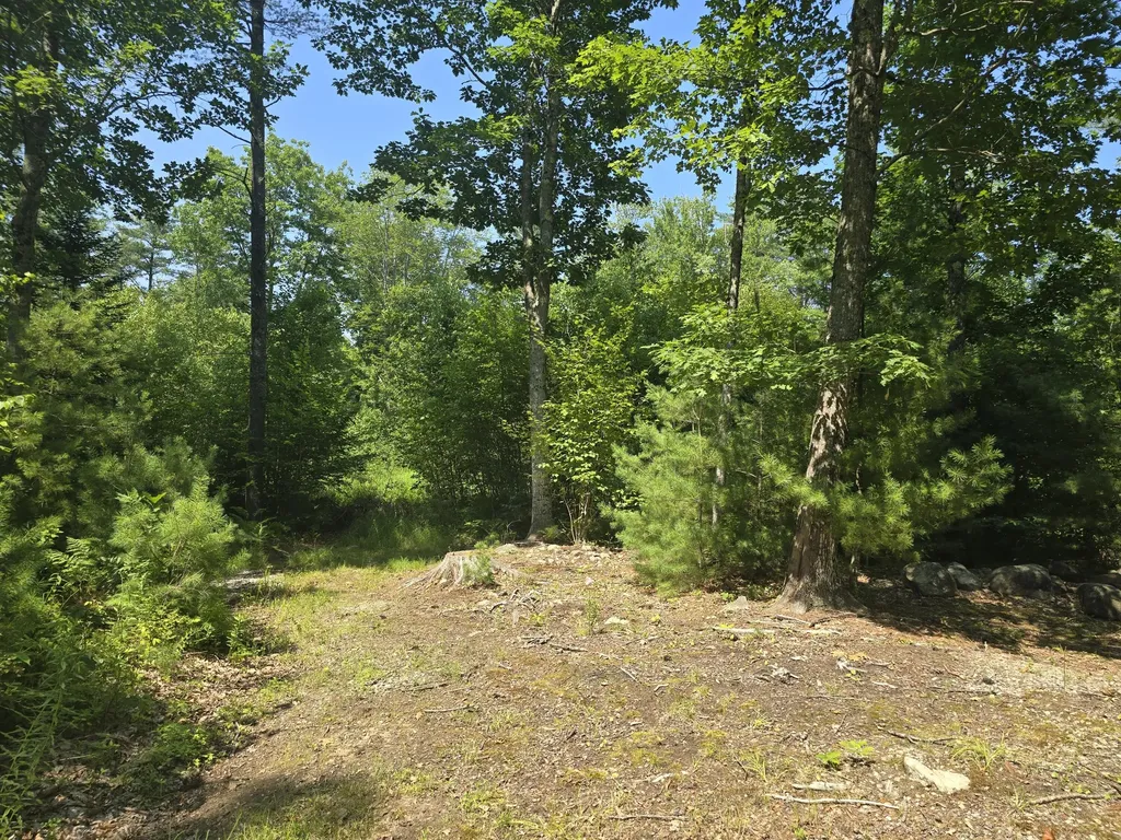 00 Head Tide Hill Road Alna ME 04535
