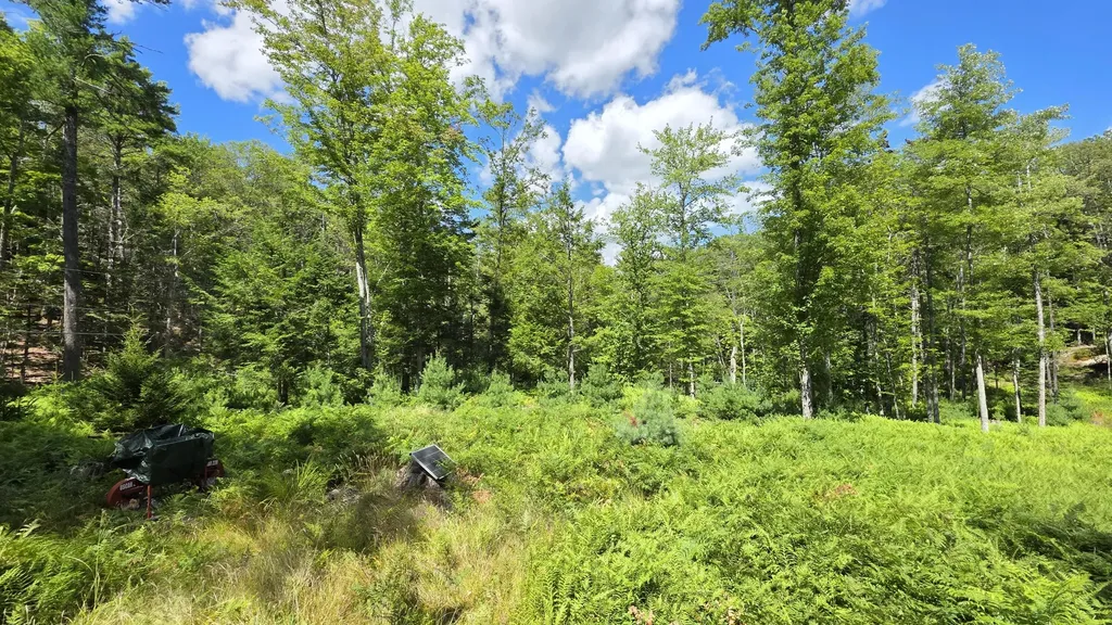 65 Sortwell Road Westport Island ME 04578