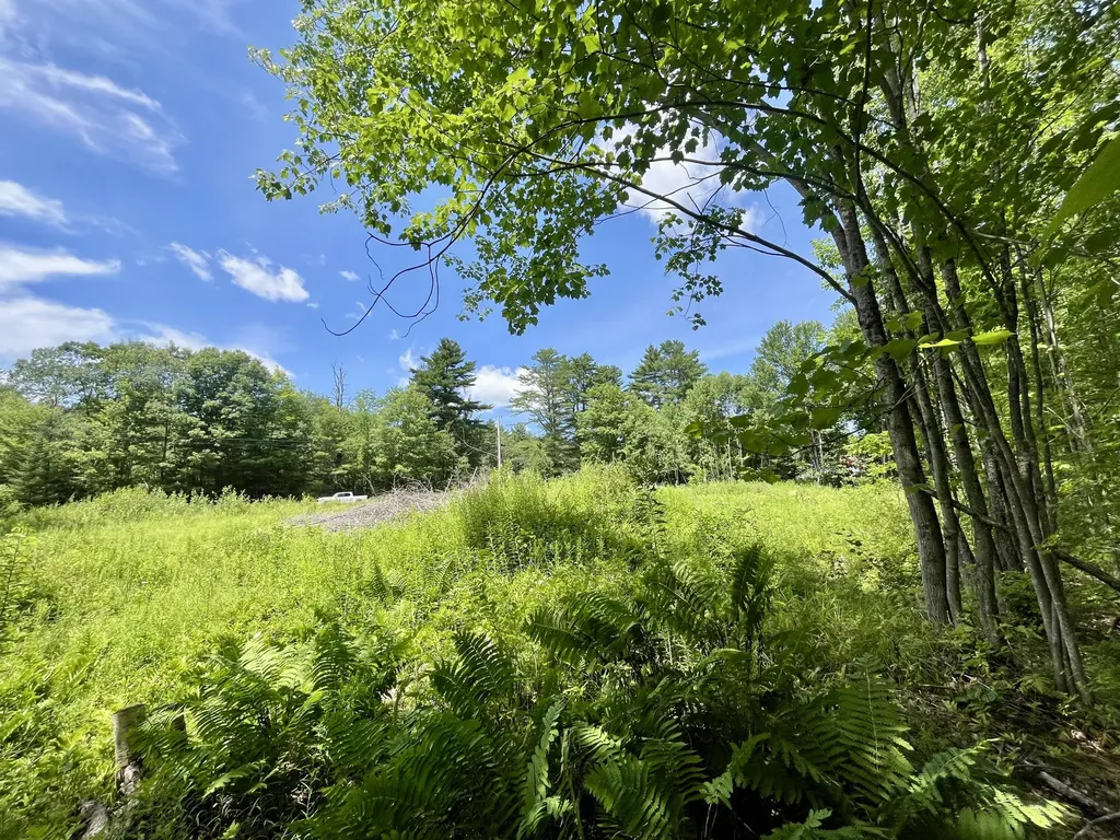 0 Plummer Road Richmond ME 04357