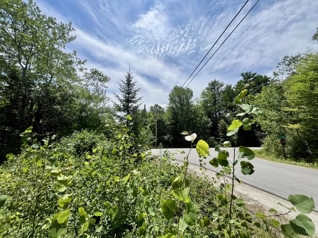 0 Plummer Road Richmond ME 04357