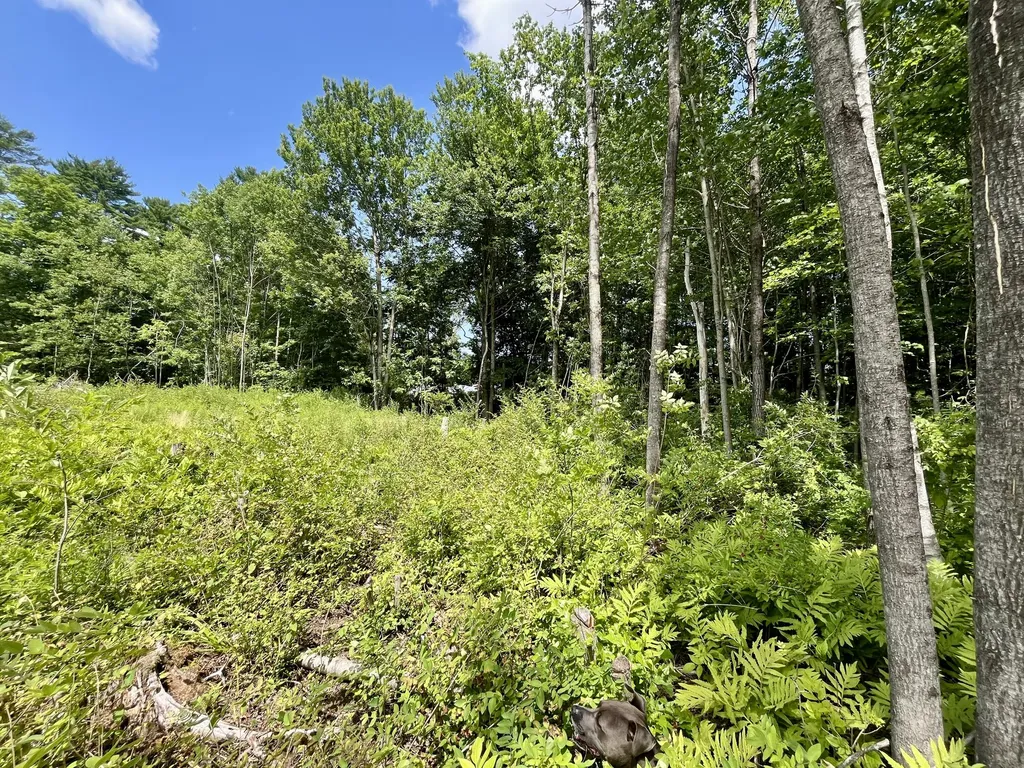 0 Plummer Road Richmond ME 04357
