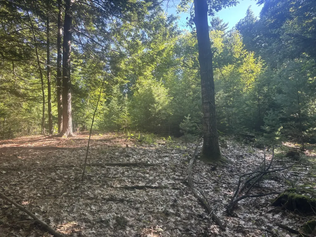 MAP5/LOT53 Bangor Road Troy ME 04987