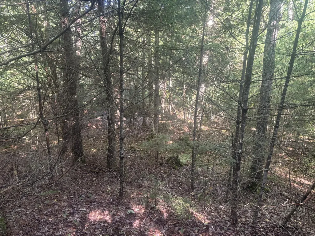 MAP5/LOT53 Bangor Road Troy ME 04987