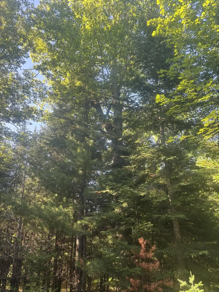 MAP5/LOT53 Bangor Road Troy ME 04987