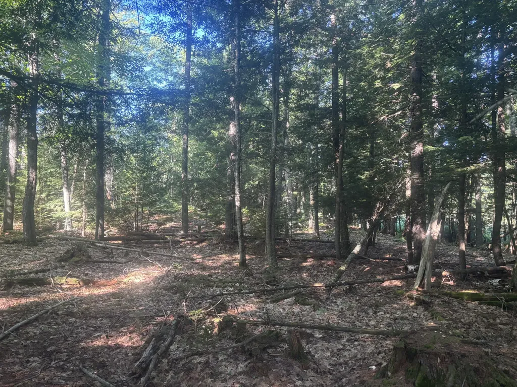 MAP5/LOT53 Bangor Road Troy ME 04987