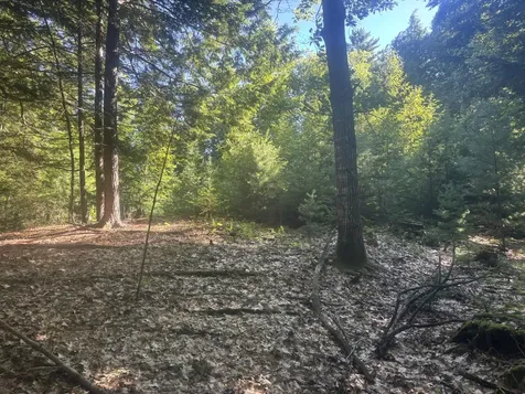 MAP5/LOT53 Bangor Road Troy ME 04987