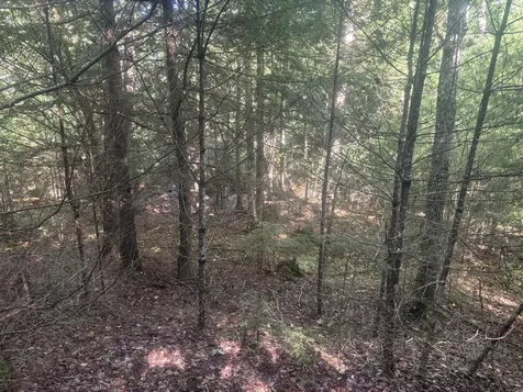 MAP5/LOT53 Bangor Road Troy ME 04987