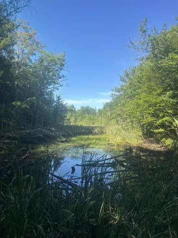MAP5/LOT53 Bangor Road Troy ME 04987
