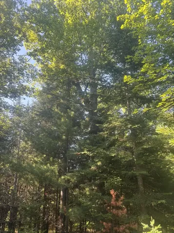 MAP5/LOT53 Bangor Road Troy ME 04987