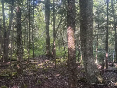 MAP5/LOT53 Bangor Road Troy ME 04987