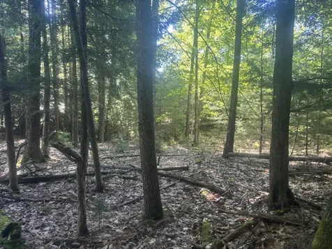 MAP5/LOT53 Bangor Road Troy ME 04987