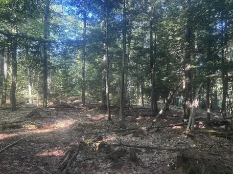 MAP5/LOT53 Bangor Road Troy ME 04987