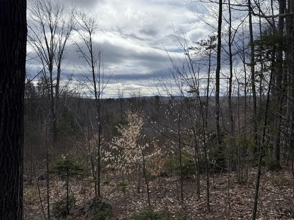 Lot #3 Moose Hill Road Livermore Falls ME 04254