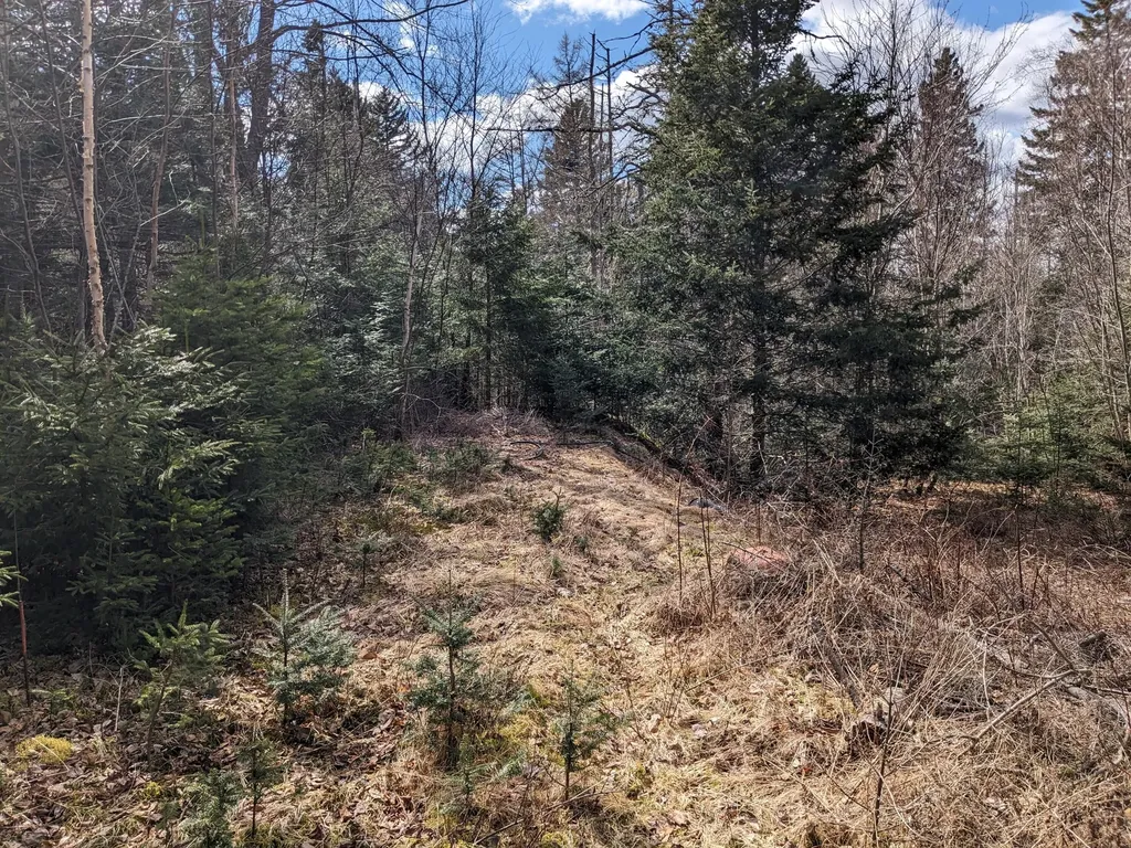4-28 Old Town Road/old County Road Machiasport ME 04655