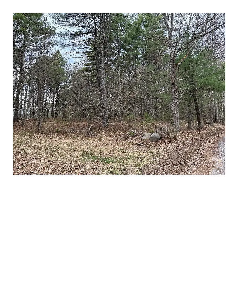 Lot 87-1-2 Drown Road Alfred ME 04002