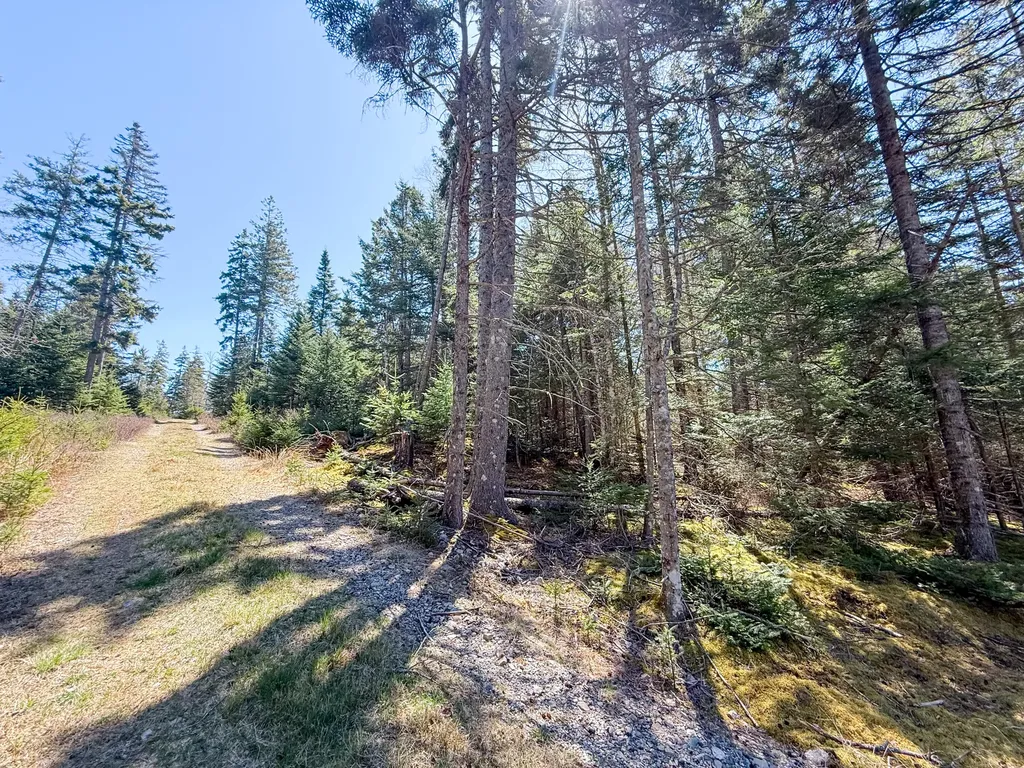 18 Berry Lane Vinalhaven ME 04863