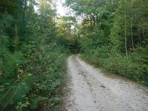 01-9.2 Lord Brook Road Grand Falls Twp ME 04417