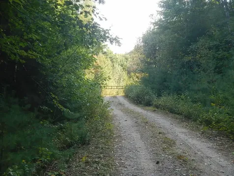 01-9.2 Lord Brook Road Grand Falls Twp ME 04417