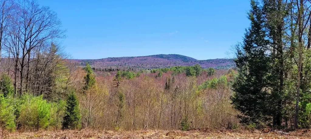4 Youngs Road Canton ME 04221