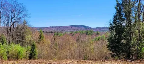 4 Youngs Road Canton ME 04221
