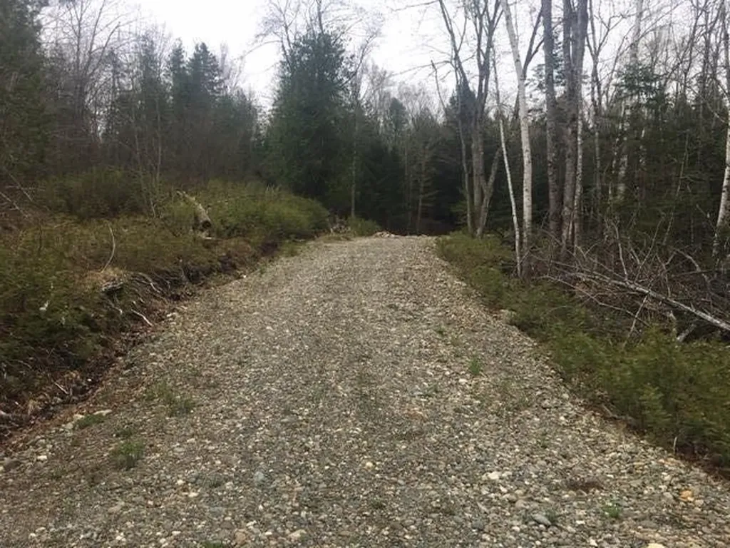 Lots 2&3 Maple Ridge Road Dedham ME 04429