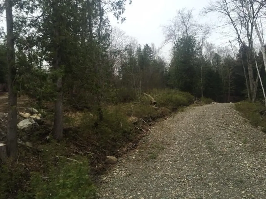 Lots 2&3 Maple Ridge Road Dedham ME 04429