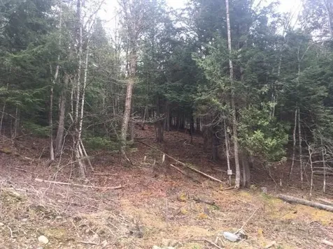 Lots 2&3 Maple Ridge Road Dedham ME 04429