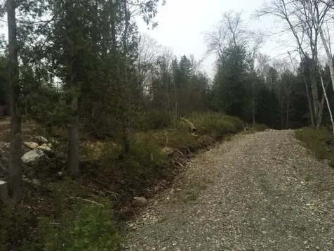 Lots 2&3 Maple Ridge Road Dedham ME 04429