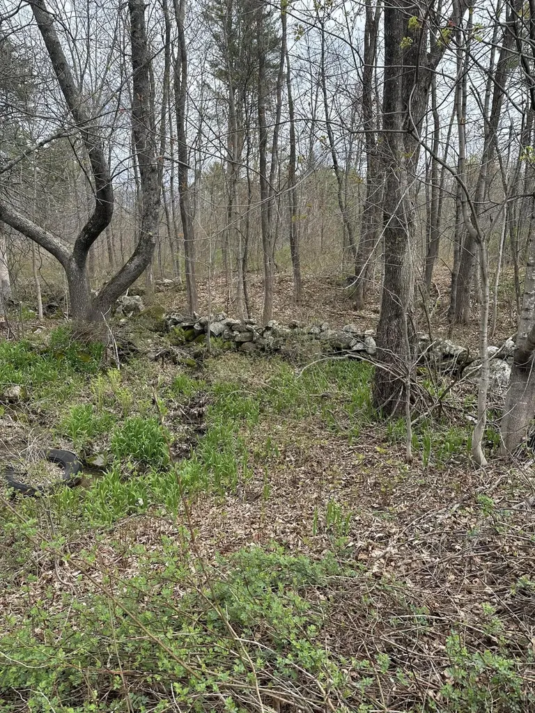Lot #2 - 344 Moose Hill Road Livermore Falls ME 04254