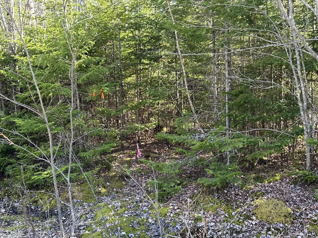 Lot 14 Merganser Drive Gouldsboro ME 04607
