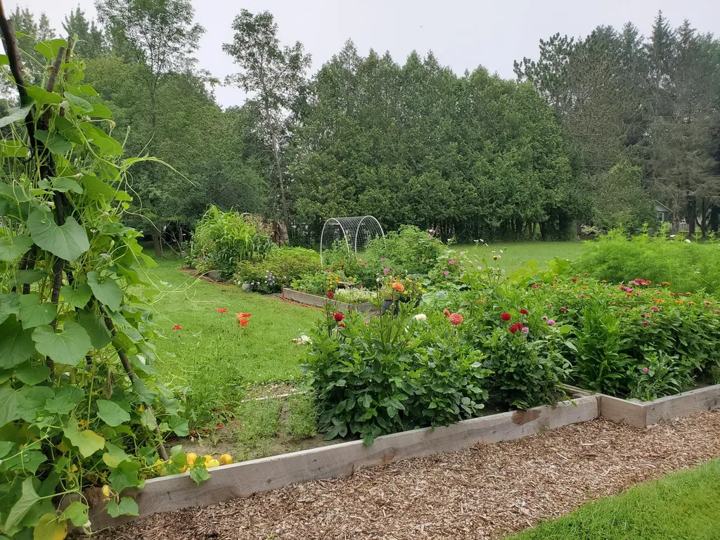 10 Pinewood Street Orono ME 04473