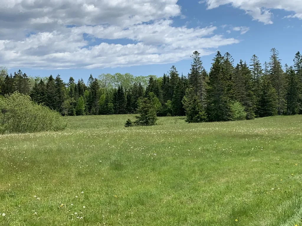 1 Daggett Road Perry ME 04667
