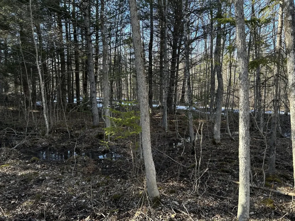 MAP5LOT1 Silvers Mills Road Sangerville ME 04479