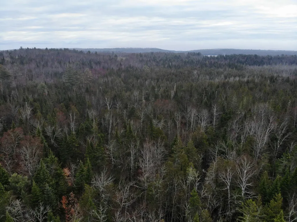 MAP5LOT1 Silvers Mills Road Sangerville ME 04479