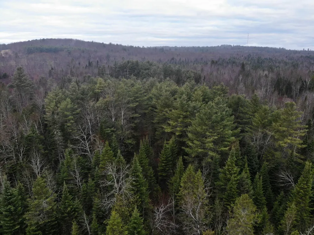MAP5LOT1 Silvers Mills Road Sangerville ME 04479