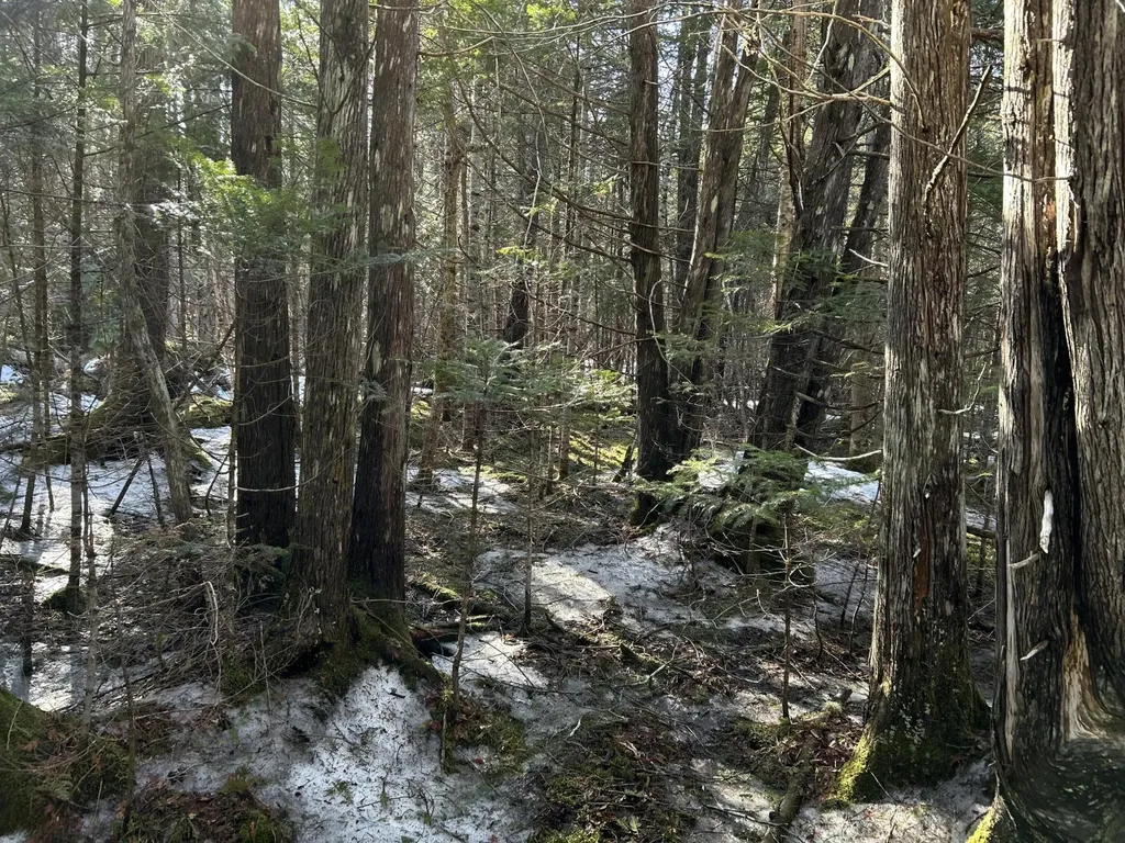 MAP5LOT1 Silvers Mills Road Sangerville ME 04479