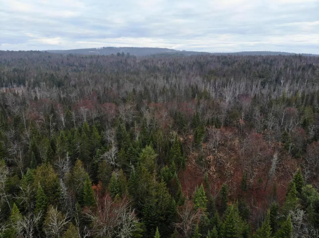 MAP5LOT1 Silvers Mills Road Sangerville ME 04479