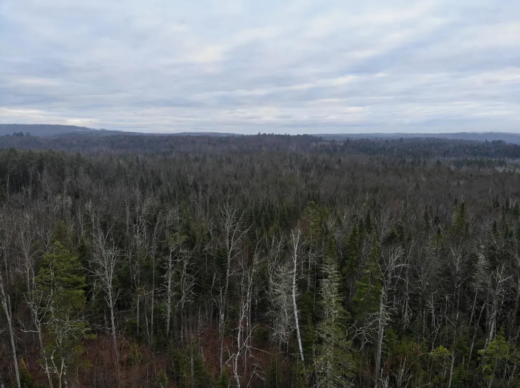MAP5LOT1 Silvers Mills Road Sangerville ME 04479