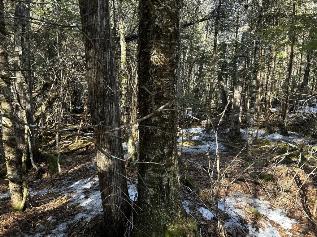 MAP5LOT1 Silvers Mills Road Sangerville ME 04479