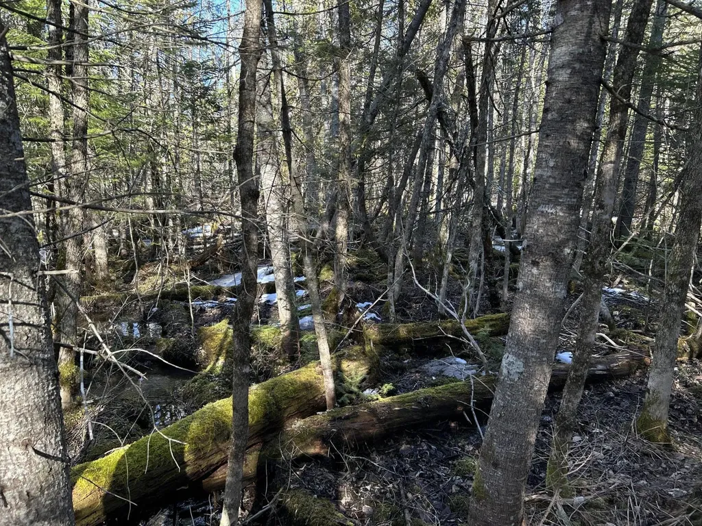 MAP5LOT1 Silvers Mills Road Sangerville ME 04479