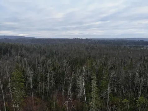 MAP5LOT1 Silvers Mills Road Sangerville ME 04479
